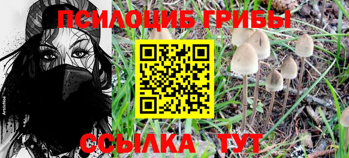 Псилоцибиновые грибы прущие грибы  Псилоцибиновые грибы MAGIC MUSHROOMS  Вход с VPN  Светлоград 